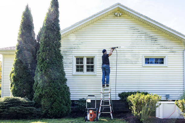 Best House Exterior Washing  in Bellaire, TX